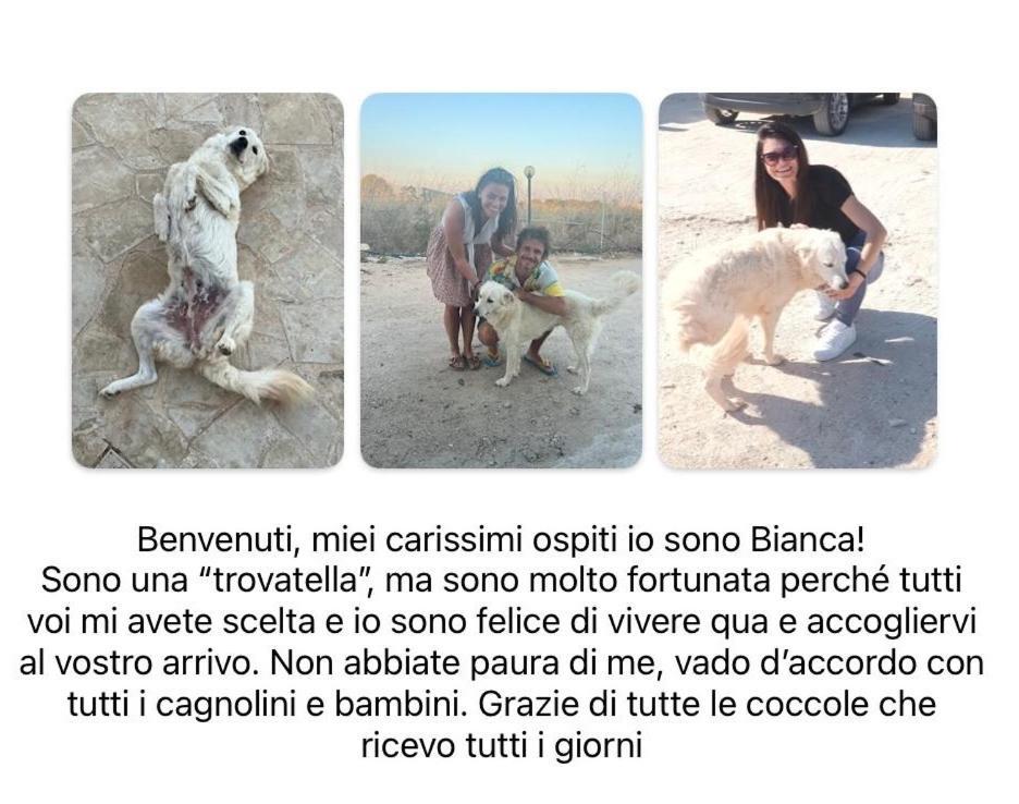Cozzo Spadaro B&B Portopalo Di Capo Passero Exteriör bild